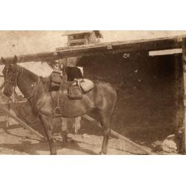 Photo from page 03 of album WWI Photograph Album - Egypt, Sinai and Palestine