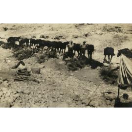 Photo from page 02 of album WWI Photograph Album - Egypt & Sinai and Palestine.