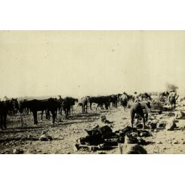 Photo from page 03 of album WWI Photograph Album - Egypt & Sinai and Palestine.