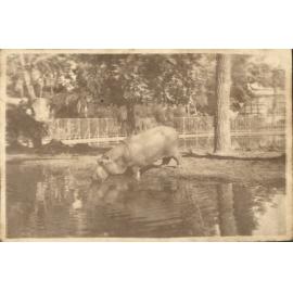 Photo from page 02 of album WWI Photograph Albums