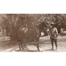 Photo from page 06 of album WWI Photograph Album - Egypt, Sinai and Palestine