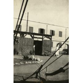 Photo from page 08 of album WWI Photograph Album - Egypt & Sinai and Palestine.