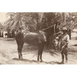 Photo from page 06 of album WWI Photograph Album - Egypt, Sinai and Palestine