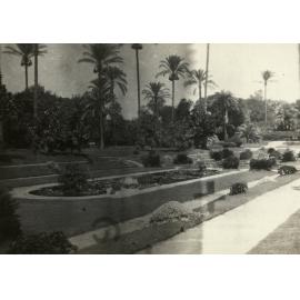 Photo from page 12 of album WWI Photograph Album - Egypt & Sinai and Palestine.