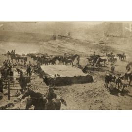 Photo from page 13 of album WWI Photograph Album - Egypt & Sinai and Palestine.