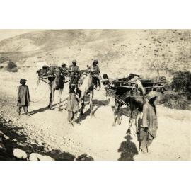 Photo from page 13 of album WWI Photograph Album - Egypt & Sinai and Palestine.