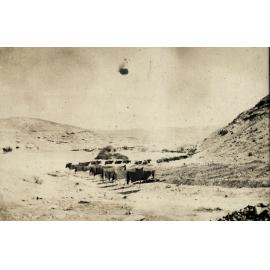 Photo from page 14 of album WWI Photograph Album - Egypt & Sinai and Palestine.