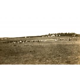Photo from page 09 of album WWI Photograph Album - Egypt, Sinai and Palestine