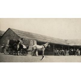 Photo from page 08 of album WWI Photograph Album - New Zealand and Egypt.