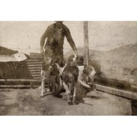 Photo from page 08 of album WWI Photograph Album - New Zealand and Egypt.