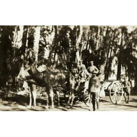 Photo from page 09 of album WWI Photograph Album - New Zealand and Egypt.