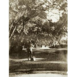 Photo from page 09 of album WWI Photograph Album - New Zealand and Egypt.