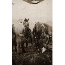 Photo from page 05 of album WWI Photograph Album - New Zealand and Egypt.