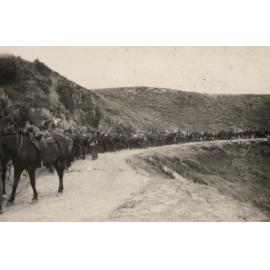 Photo from page 11 of album WWI Photograph Album - New Zealand and Egypt.