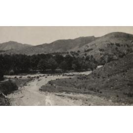 Photo from page 11 of album WWI Photograph Album - New Zealand and Egypt.