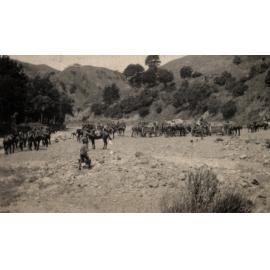 Photo from page 11 of album WWI Photograph Album - New Zealand and Egypt.