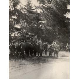 Photo from page 11 of album WWI Photograph Album - New Zealand and Egypt.