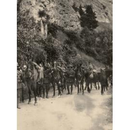 Photo from page 11 of album WWI Photograph Album - New Zealand and Egypt.