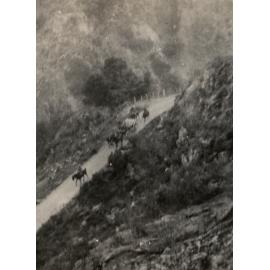 Photo from page 11 of album WWI Photograph Album - New Zealand and Egypt.
