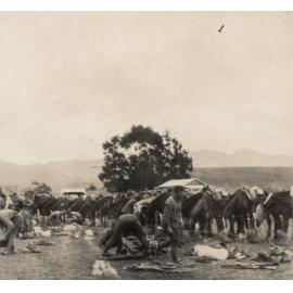 Photo from page 12 of album WWI Photograph Album - New Zealand and Egypt.