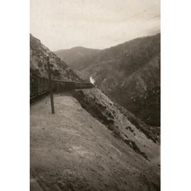 Photo from page 13 of album WWI Photograph Album - New Zealand and Egypt.