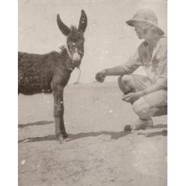 Photo from page 02 of album WWI Photograph Album - Egypt, Malta and Sinai & Palestine.