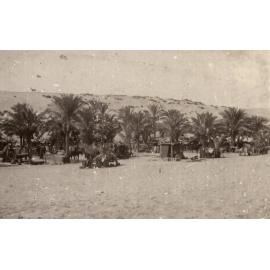 Photo from page 05 of album WWI Photograph Album - Egypt, Malta and Sinai & Palestine.