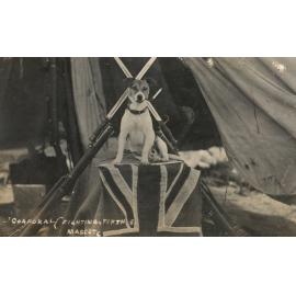 Photo from page 06 of album WWI Photograph Album - Egypt, Malta and Sinai & Palestine.