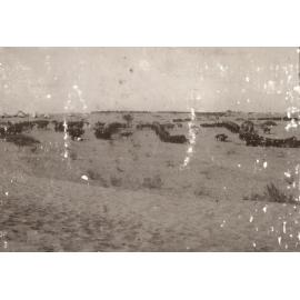 Photo from page 12 of album WWI Photograph Album - Egypt, Malta and Sinai & Palestine.