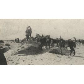 Photo from page 13 of album WWI Photograph Album - Egypt, Malta and Sinai & Palestine.