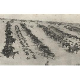 Photo from page 13 of album WWI Photograph Album - Egypt, Malta and Sinai & Palestine.