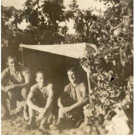 Photo from page 05 of album WWI Photograph Album - Egypt