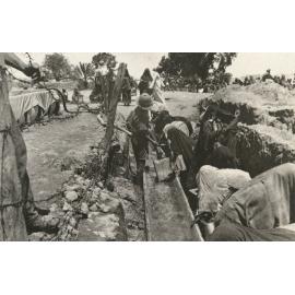 Photo from page 15 of album WWI Photograph Album - Egypt, Malta and Sinai & Palestine.