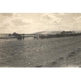 Photo from page 05 of album WWI Photograph Album - Egypt