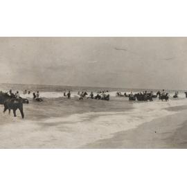 Photo from page 02 of album WWI Photograph Album - Egypt, Sinai & Palestine.