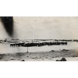Photo from page 04 of album WWI Photograph Album - Egypt, Sinai & Palestine.