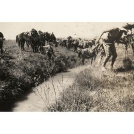Photo from page 06 of album WWI Photograph Album - Egypt, Sinai & Palestine.