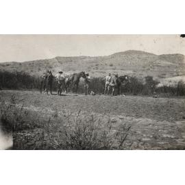 Photo from page 07 of album WWI Photograph Album - Egypt, Sinai & Palestine.