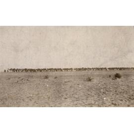 Photo from page 10 of album WWI Photograph Album - Egypt, Sinai & Palestine.