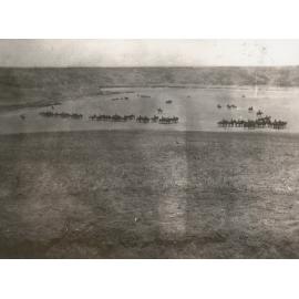 Photo from page 13 of album WWI Photograph Album - Egypt, Sinai & Palestine.