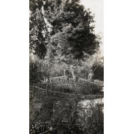 Photo from page 16 of album WWI Photograph Album - Egypt, Sinai & Palestine.