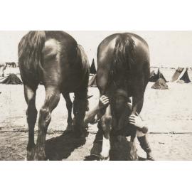 Photo from page 16 of album WWI Photograph Album - Egypt, Sinai & Palestine.