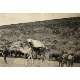 Photo from page 22 of album WWI Photograph Album - Egypt