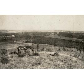 Photo from page 05 of album WWI Photograph Album - New Zealand, Egypt and Sinai & Palestine.