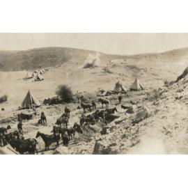 Photo from page 05 of album WWI Photograph Album - New Zealand, Egypt and Sinai & Palestine.