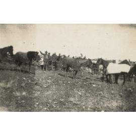 Photo from page 05 of album WWI Photograph Album - New Zealand, Egypt and Sinai & Palestine.