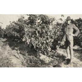 Photo from page 05 of album WWI Photograph Album - New Zealand, Egypt and Sinai & Palestine.