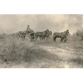 Photo from page 06 of album WWI Photograph Album - New Zealand, Egypt and Sinai & Palestine.