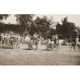 Photo from page 06 of album WWI Photograph Album - New Zealand, Egypt and Sinai & Palestine.