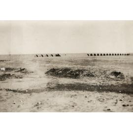 Photo from page 06 of album WWI Photograph Album - New Zealand, Egypt and Sinai & Palestine.